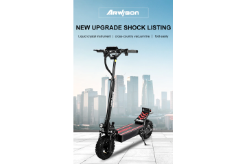 Electric scooter Charging port dual 11inch off road 48V16AH 2500w 